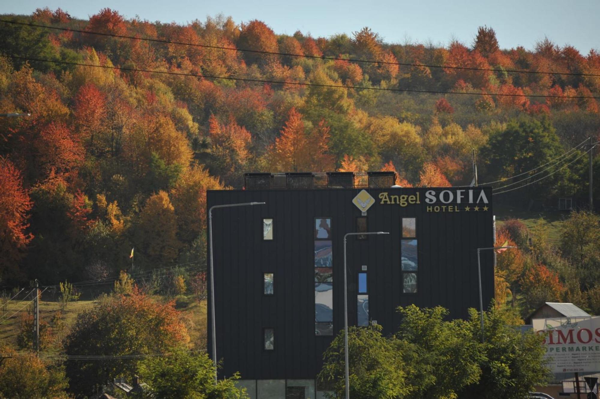 Hotel Angel Sofia Fălticeni Kültér fotó