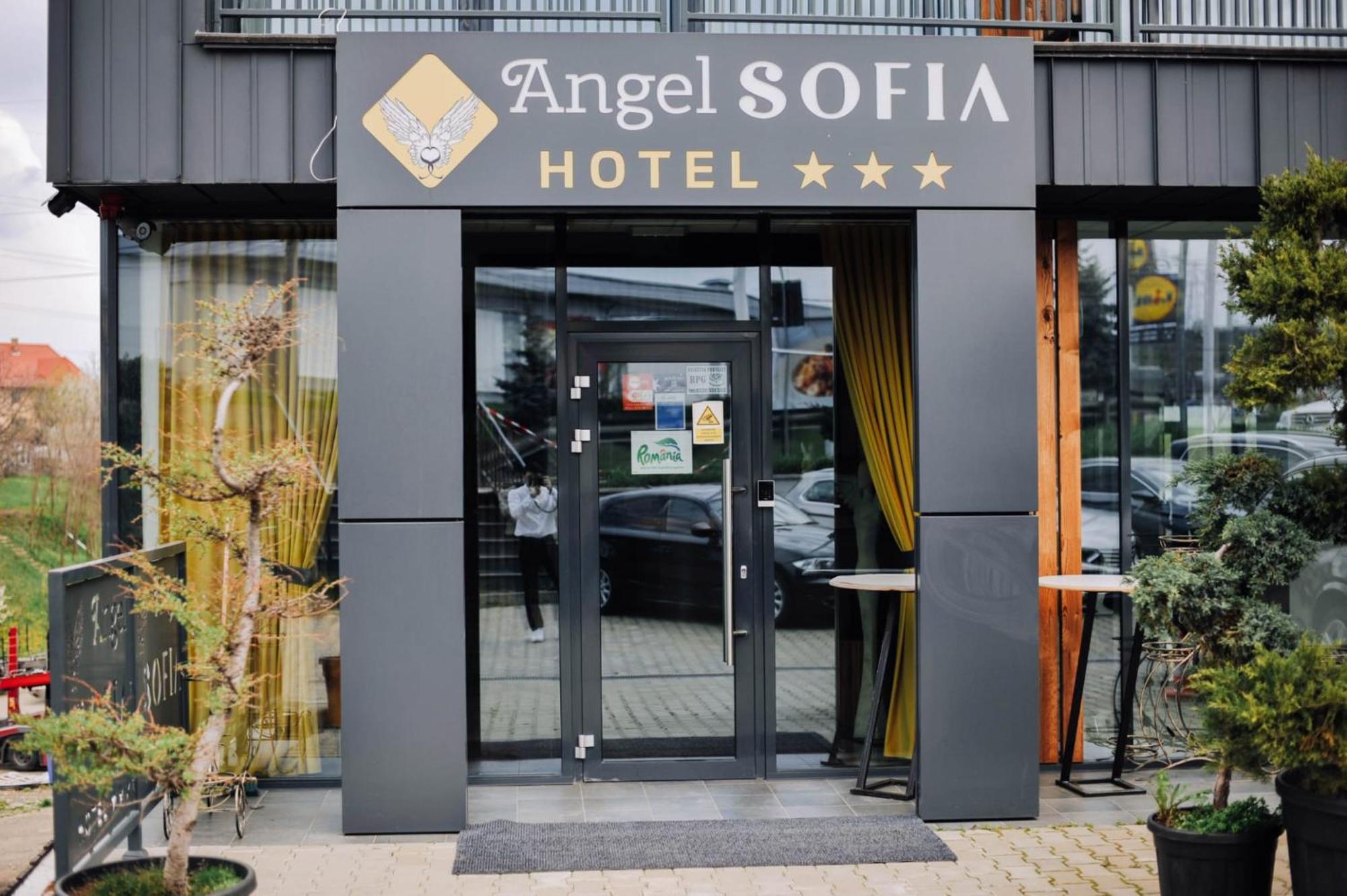 Hotel Angel Sofia Fălticeni Kültér fotó